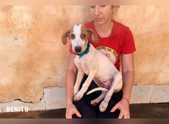 Benito sucht sein Glück