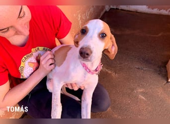 Tomas ein knuffiger kleiner Kerl