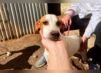 Fina auf Körbchensuche