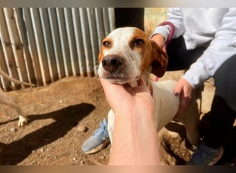 Fina auf Körbchensuche