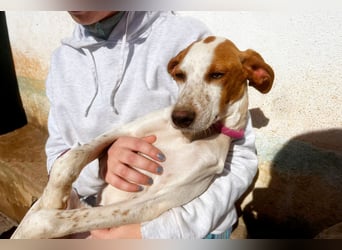 Fina auf Körbchensuche