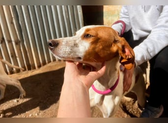 Fina auf Körbchensuche