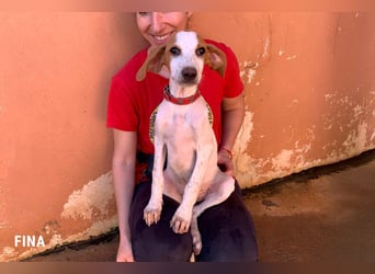 Fina auf Körbchensuche