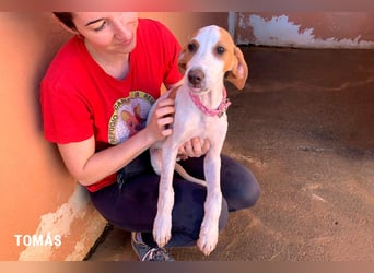 Tomas ein knuffiger kleiner Kerl