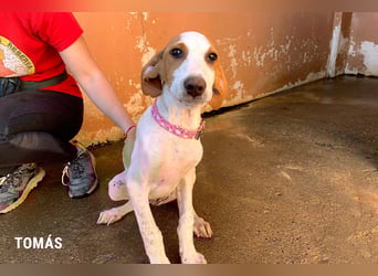 Tomas ein knuffiger kleiner Kerl