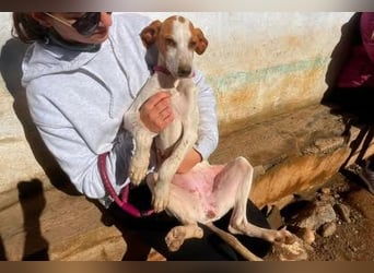 Fina auf Körbchensuche