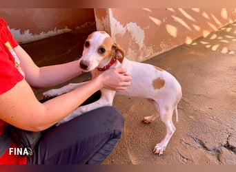 Fina auf Körbchensuche