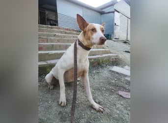 Newton, hofft auf sein großes Glück