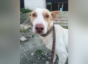 Newton, hofft auf sein großes Glück