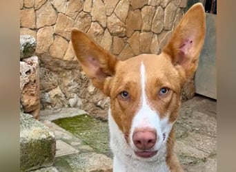 Amun hat ein offenes, freundliches Wesen