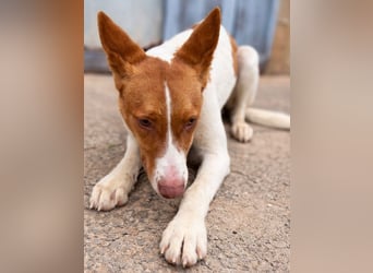 Amun hat ein offenes, freundliches Wesen