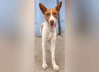 Amun hat ein offenes, freundliches Wesen