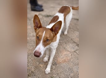 Amun hat ein offenes, freundliches Wesen