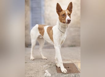 Amun hat ein offenes, freundliches Wesen