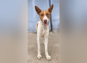 Amun hat ein offenes, freundliches Wesen