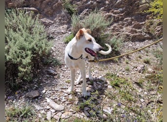 FEIVEL auf Pflege in D, in 47574 Goch/NRW