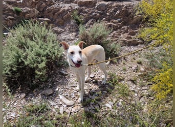 FEIVEL auf Pflege in D, in 47574 Goch/NRW