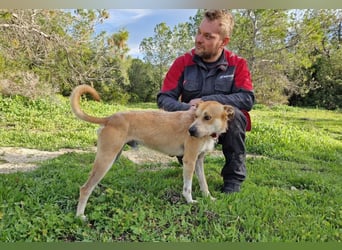 SORINN bringt gute Laune mit