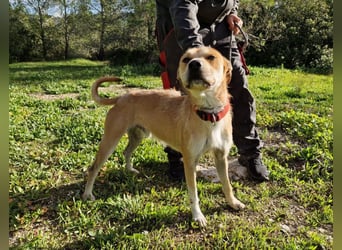 SORINN bringt gute Laune mit