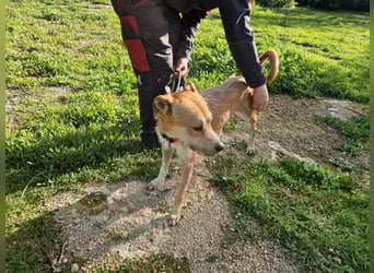 SORINN bringt gute Laune mit