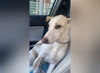 FEIVEL auf Pflege in D, in 47574 Goch/NRW