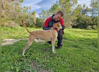 SORINN bringt gute Laune mit