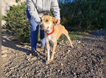 SORINN bringt gute Laune mit