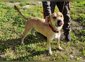 SORINN bringt gute Laune mit