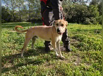 SORINN bringt gute Laune mit