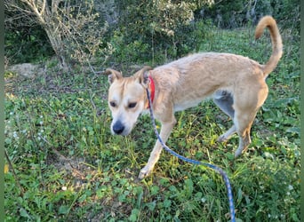 SORINN bringt gute Laune mit