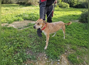 SORINN bringt gute Laune mit