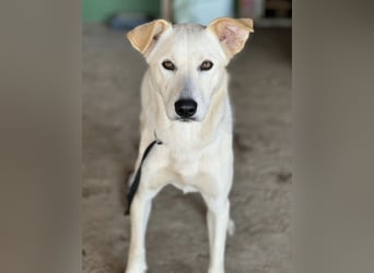 Lea eine wundervolle freundliche