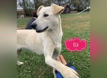 Lea eine wundervolle freundliche