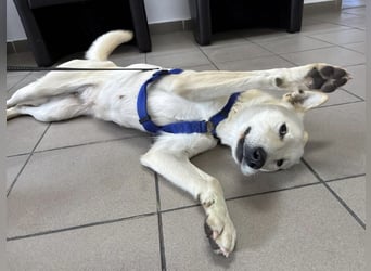 Lea eine wundervolle freundliche