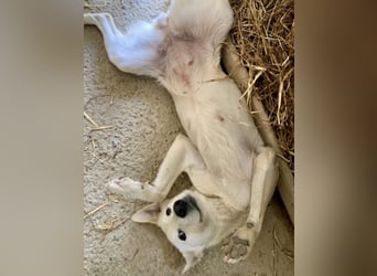 Lea eine wundervolle freundliche