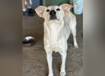 Lea eine wundervolle freundliche