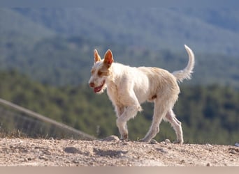 ❤️OSITO❤️