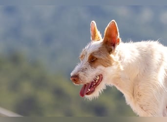 ❤️OSITO❤️
