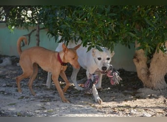 ❤️ MORGANA ❤️