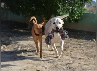 ❤️ MORGANA ❤️