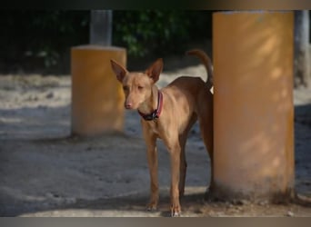 ❤️ MORGANA ❤️