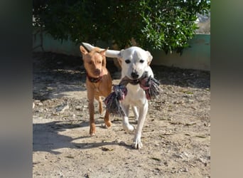 ❤️ MORGANA ❤️