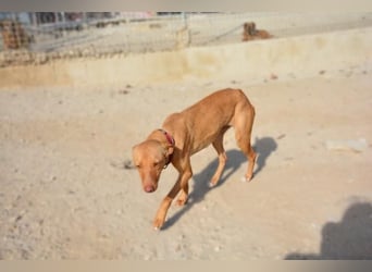 ❤️ MORGANA ❤️