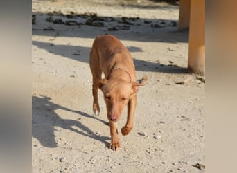 ❤️ MORGANA ❤️