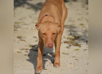 ❤️ MORGANA ❤️