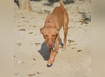 ❤️ MORGANA ❤️