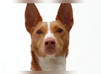 Maddy ❤️ klug, charmant, sucht Sicherheit