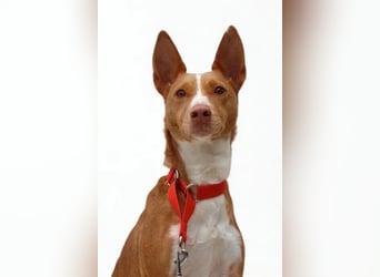 Maddy ❤️ klug, charmant, sucht Sicherheit