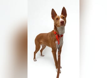 Maddy ❤️ klug, charmant, sucht Sicherheit