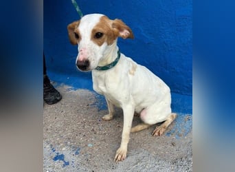 RIA Menschen findet Ria richtig gut